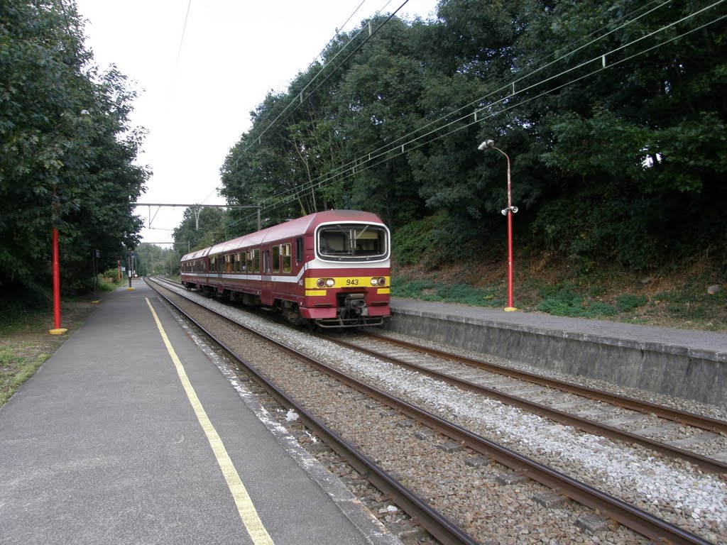 Train beersel gare by bus-50