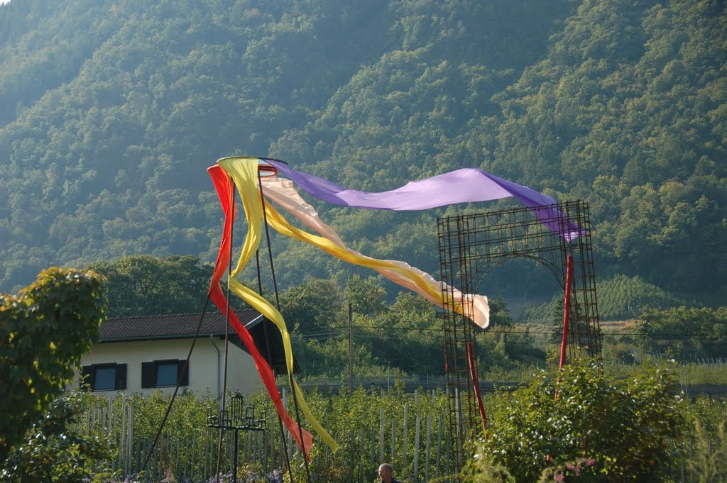 Labyrinthgarten Weingut Kränzel by Christian Schweiger