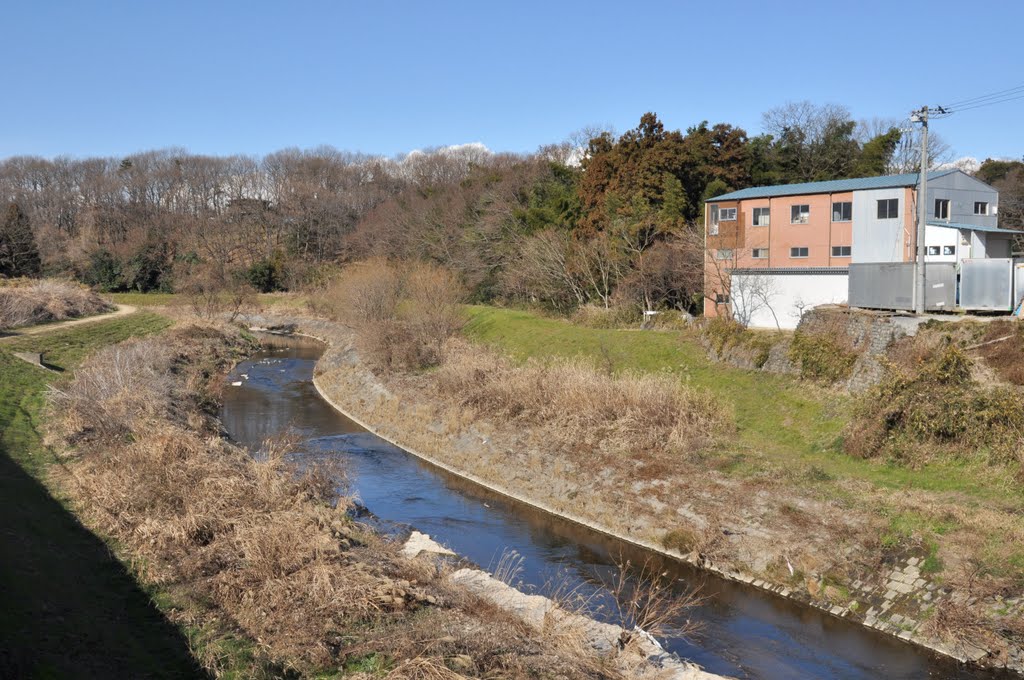 Ichino-kawa River 市野川 (2009.12.31) by k.takita