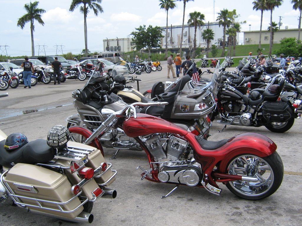 Motorcycles at the Everglades Holiday Park by waldi1972