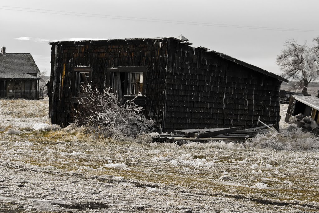 Old Building In Shaniko by kruben