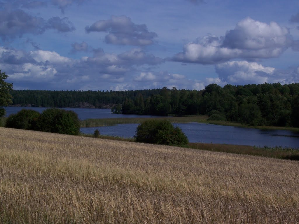 Ciclabile Runt Vattern - Paesaggi sul Lago Ammelangen by gianingiro