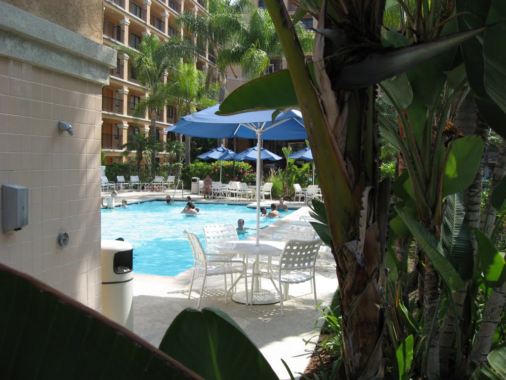 Swimming pool at the Fairfield Inn - Anaheim, California by bobpittman_ca