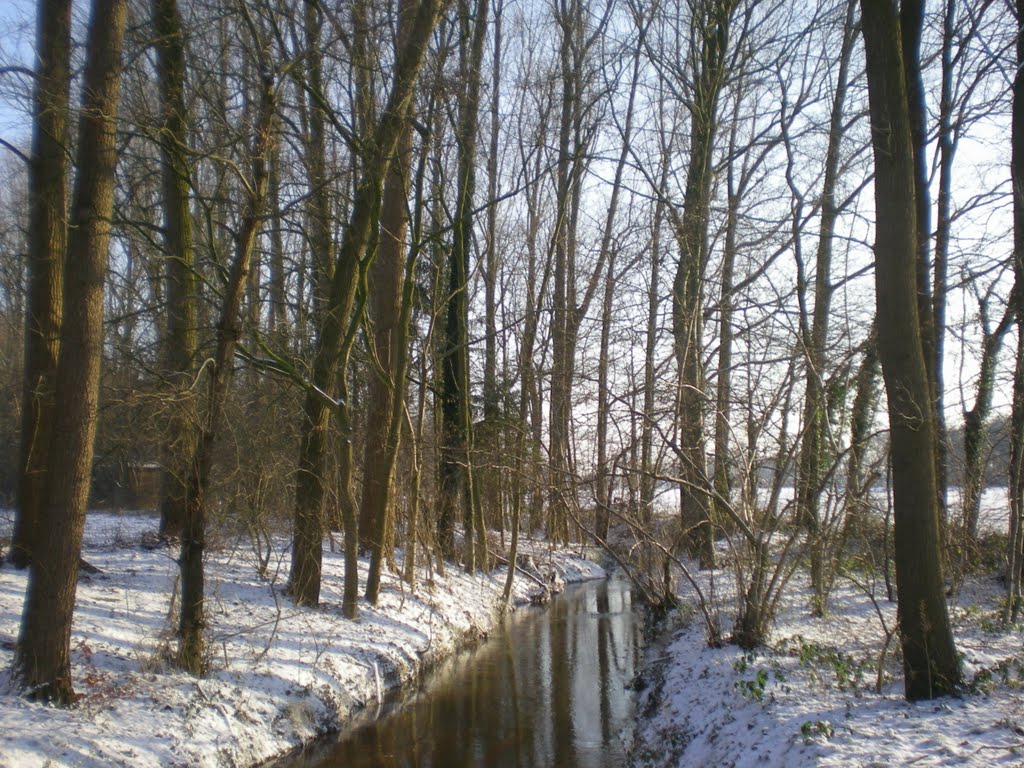 Rhedaer Bach in Kölkebeck (Winter) Ost by lapskauz