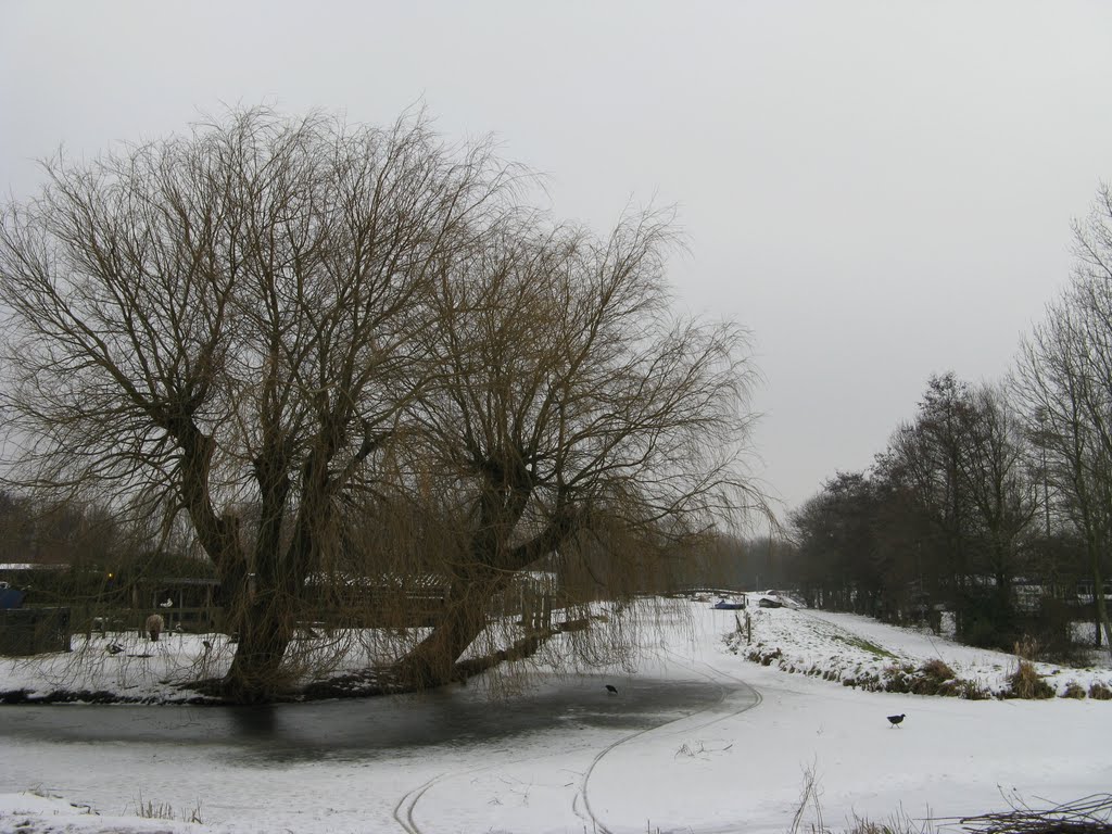 Winter scene near Leiden by Javerburg