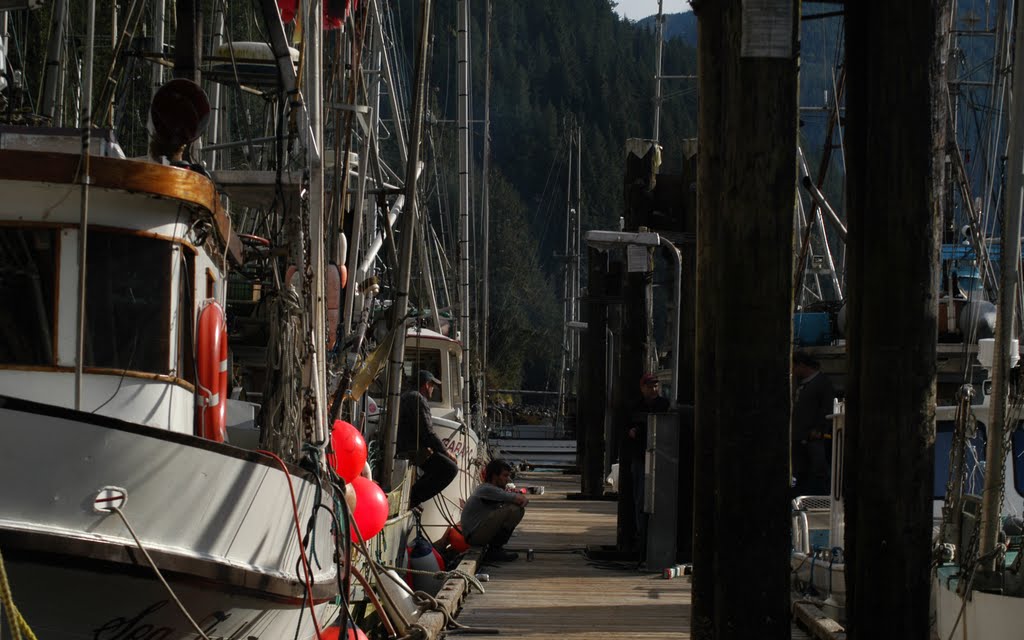 Zeballos harbour by babudro