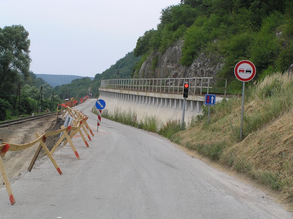 Plešivec jún 2005 cesta na Štítnik e by Pavel Titl