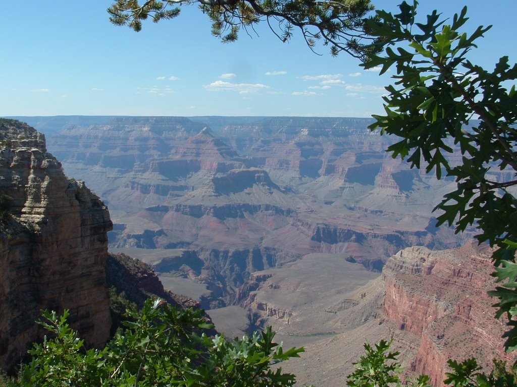 Grand Canyon by Satya Josyula