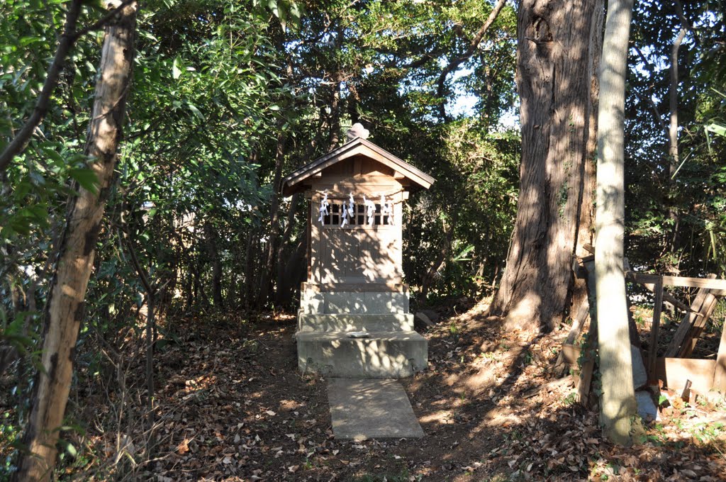 Inari-Jinja 稲荷神社 (2009.12.31) by k.takita