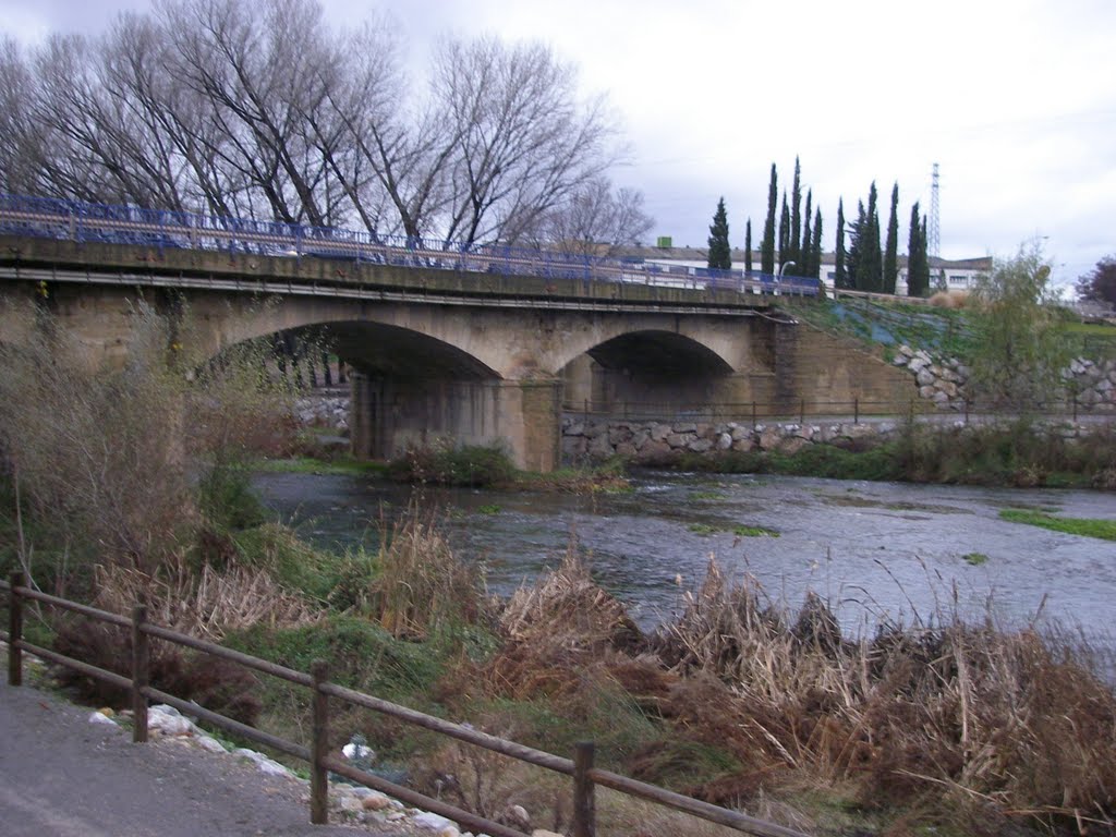 Puente sobre el Iregua en Varea by José Ramón Francia Silva