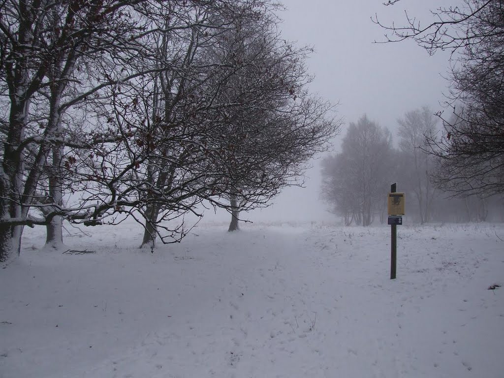 De Klencke in sneeuw & mist - De Klencke in snow & mist by ©JPix