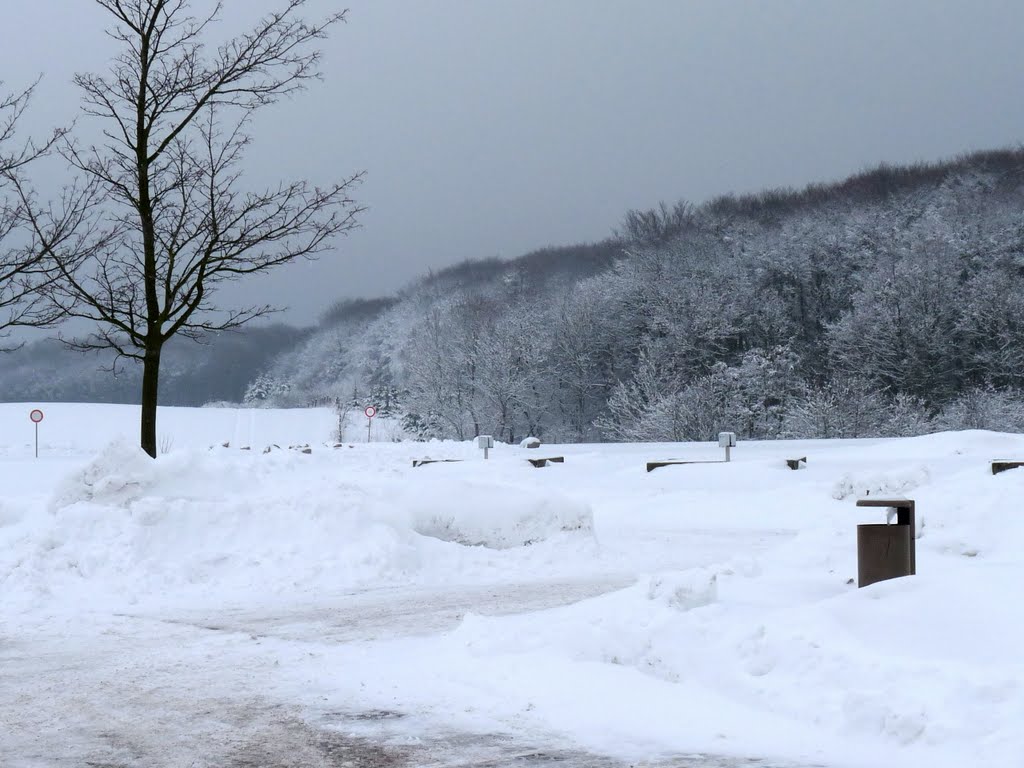 Der Weg zum Königstuhl im Winter by mimi.handorf