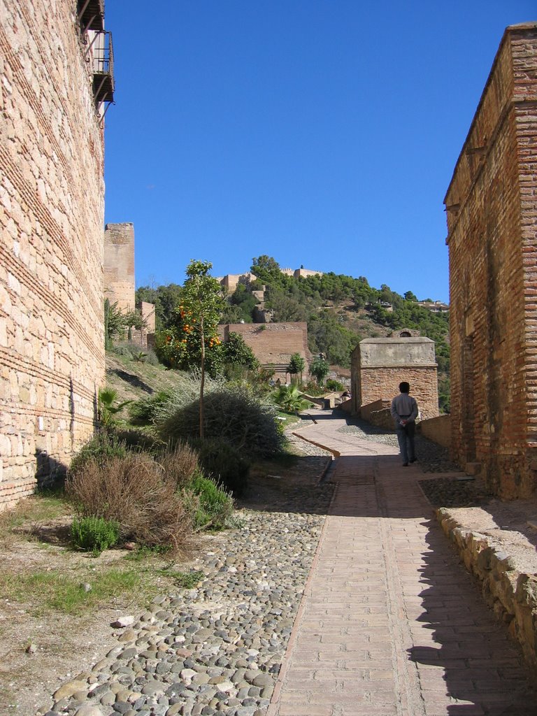 La Alcazaba by Pedro Gil