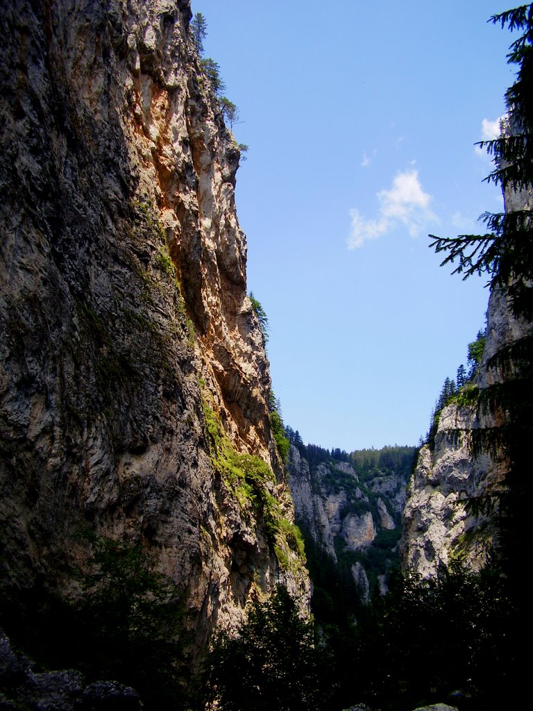 Trigrad gorge by Desislav Atanasov