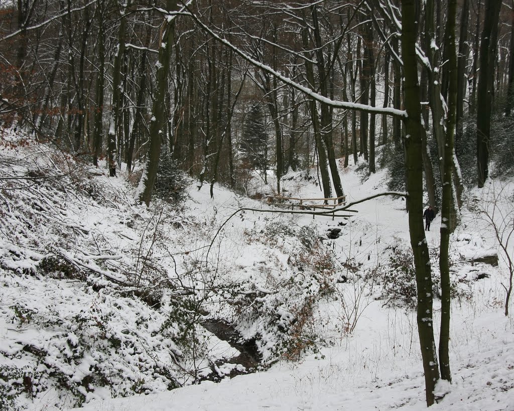 Winterlandschaft Ittertal by sralf72