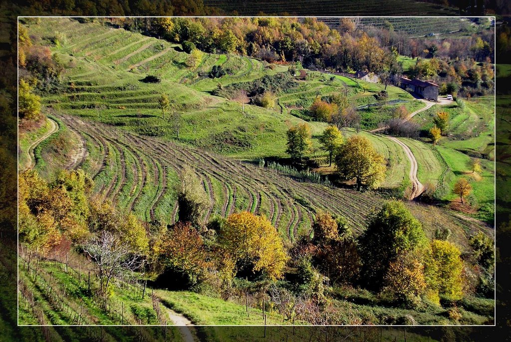 Parco del Curone. Prati Magri by Stefano Dell'Orto