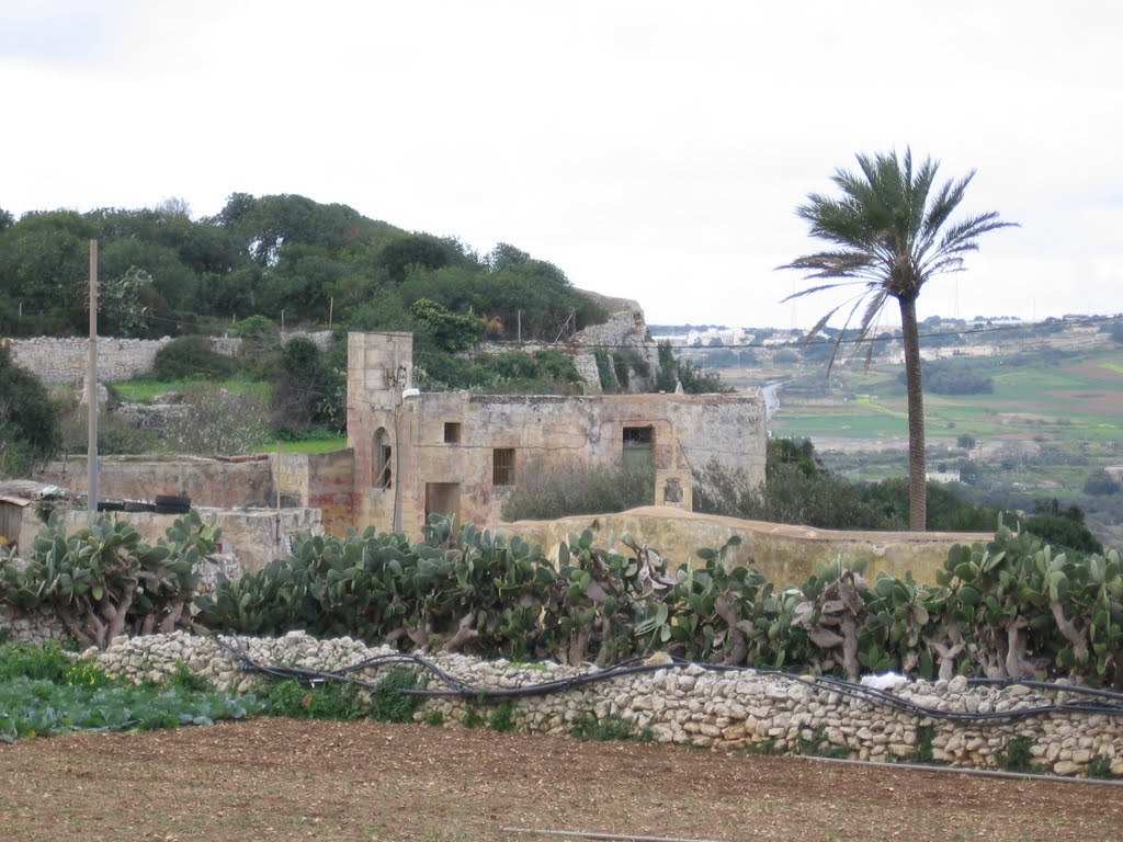 Mtarfa - Santa Lucia Chapel (Malta) by tfar1959