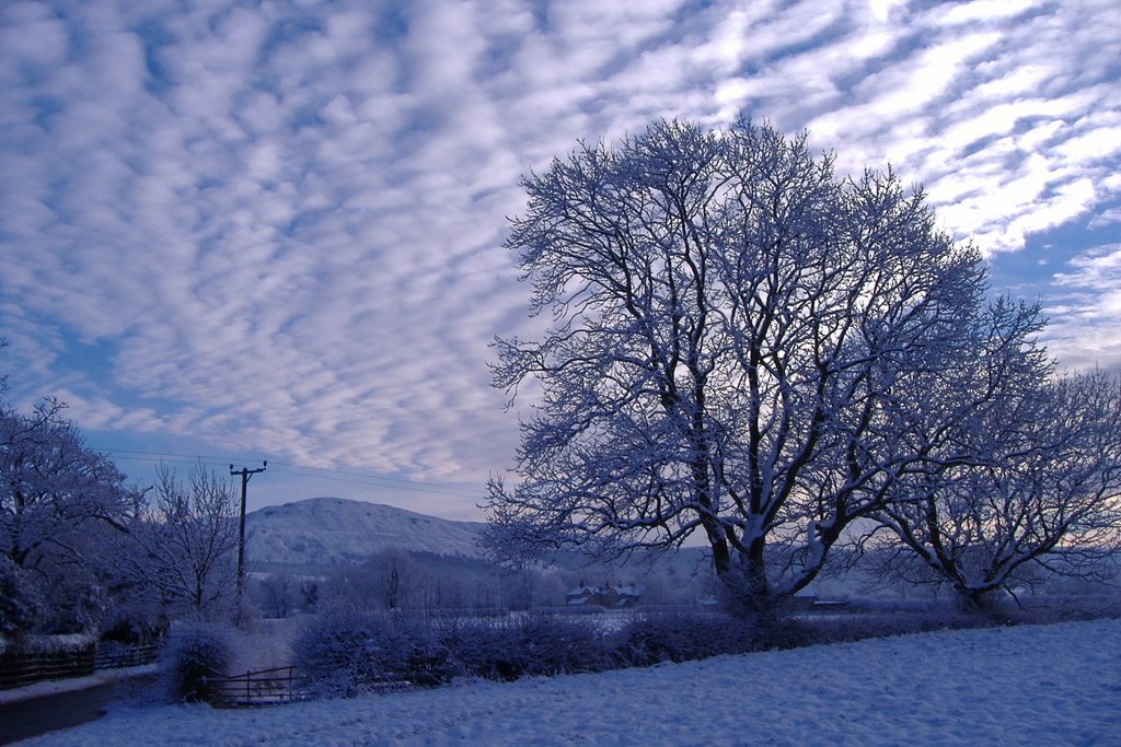 Snowy Carlton by DHeaviside