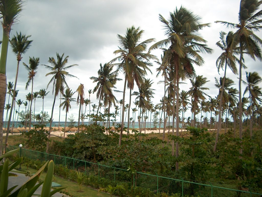 Bahia Principe Beach View by Daniel Palmans