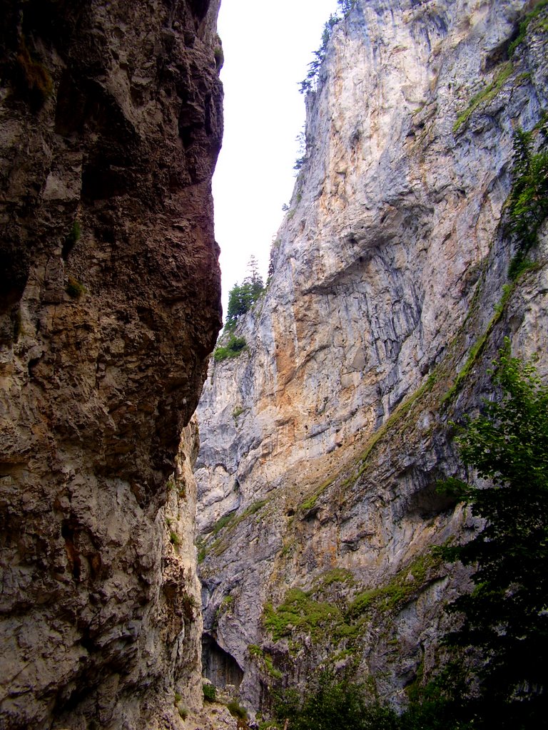 Триградско ждрело/ Trigrad gorge by Desislav Atanasov