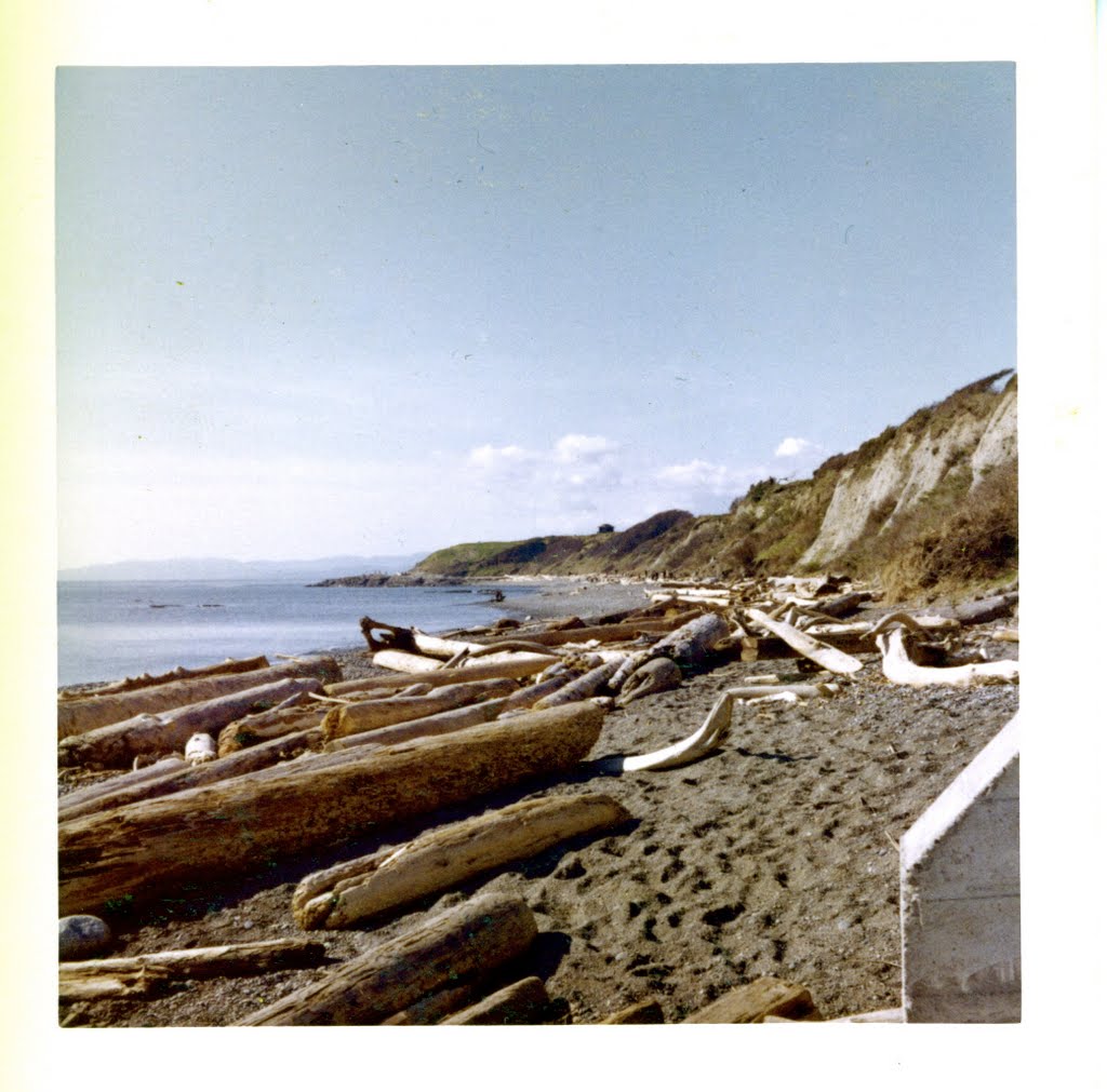 Dallas Beach and Cliffs, Victoria, BC (April 1964) by wyliethomas