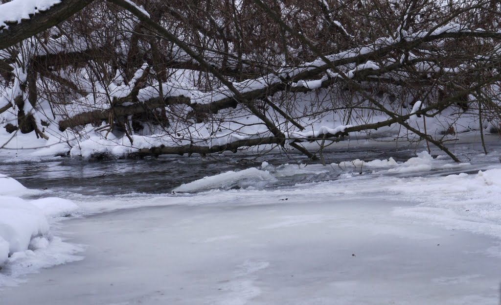 Icy Liwa River in Kwidzyn, Poland Part 4 by Marcus Aksan