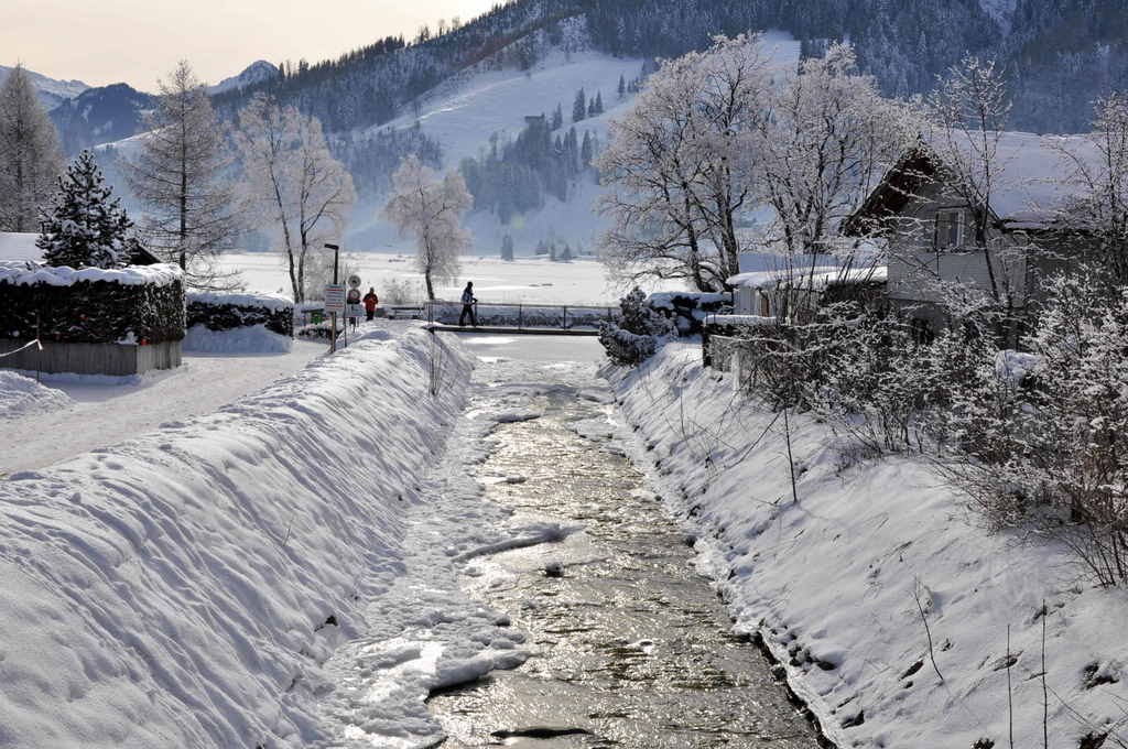 River in winter by Svjetlana Peric