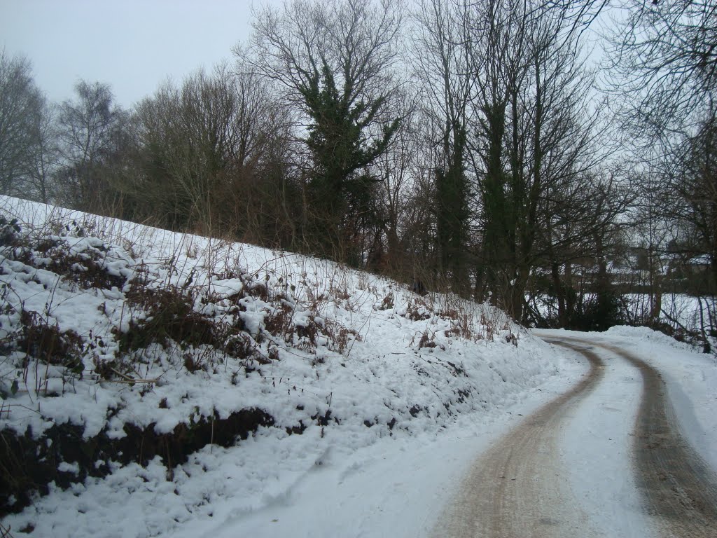 Upper Cwmbran, Heading Towards Pontnewydd Golf Club by Craig Brennan