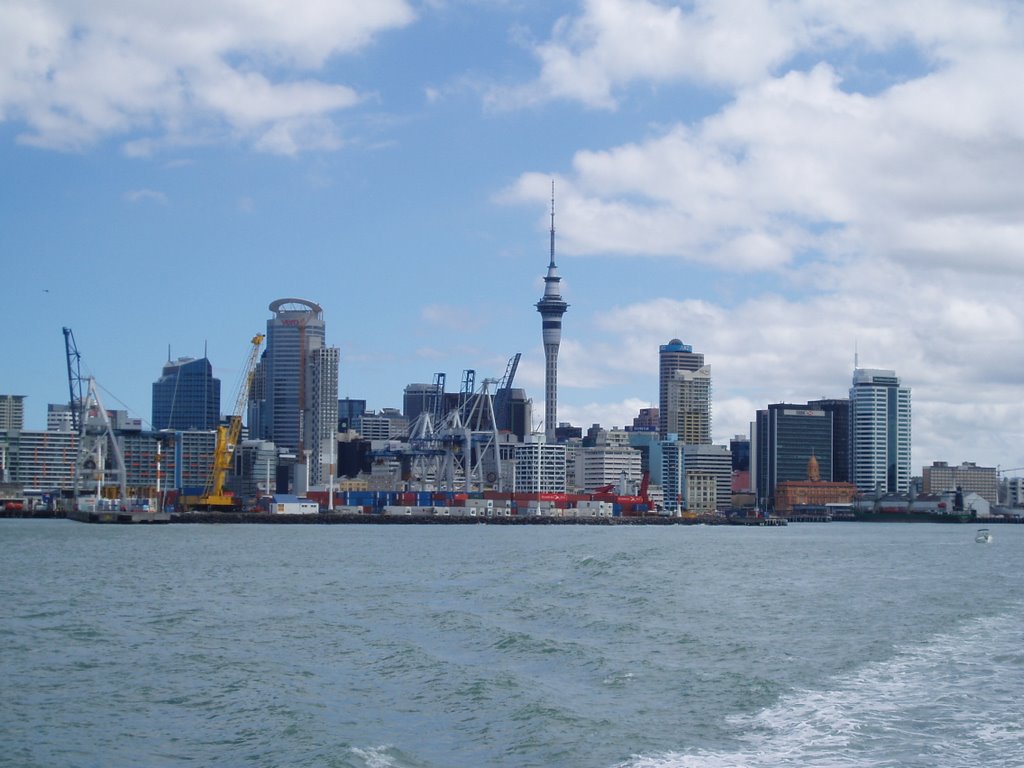 Auckland CBD by Freddie Laughton