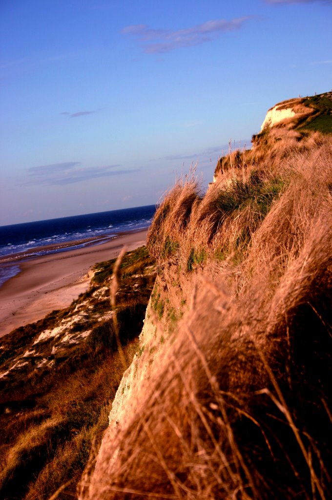 The beach by Sam Asaert