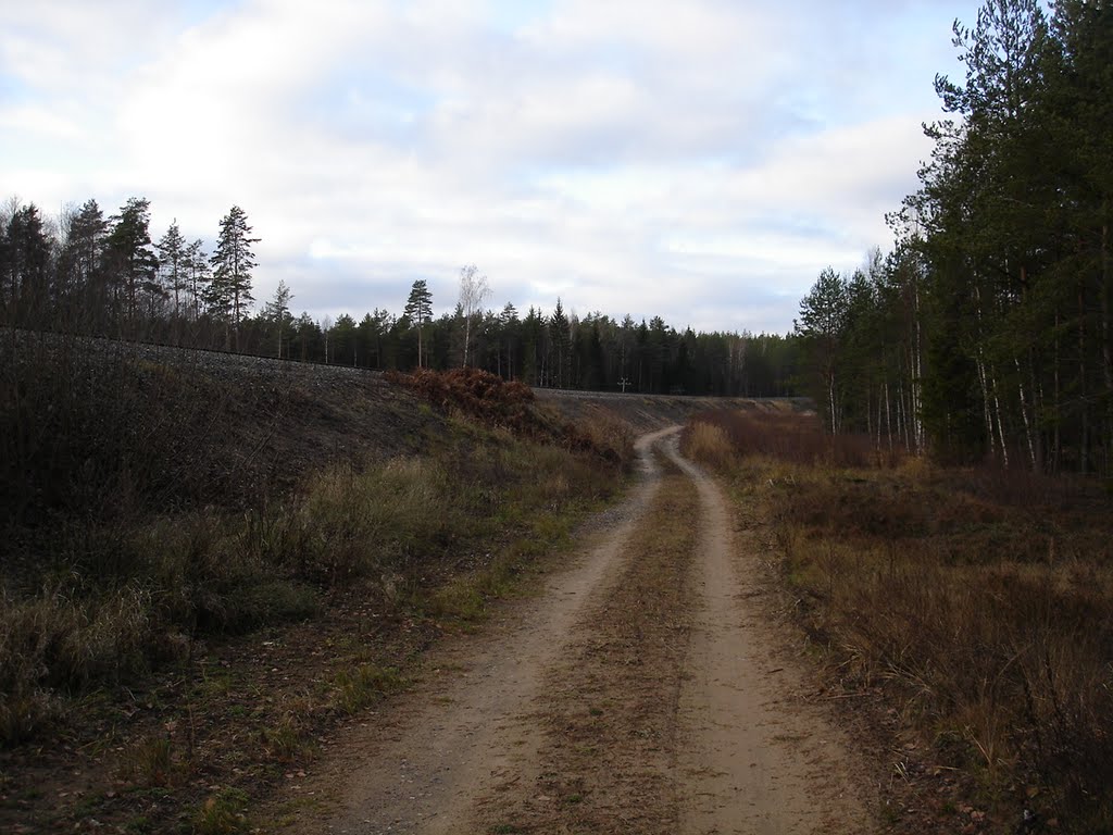 Лесная дорога | le chemin de forêt | meža ceļš by Alek Sandrs