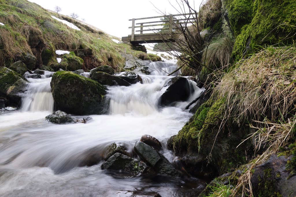 Cumberland Brook by Bob McCraight