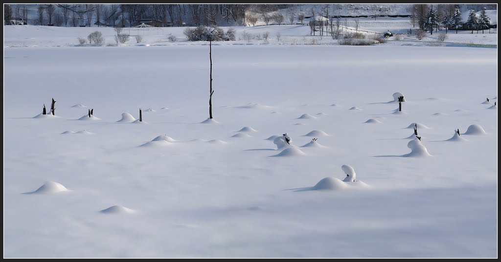 Lake Reisenji-ko in winter 3 (霊仙寺湖) by = kenji_h =