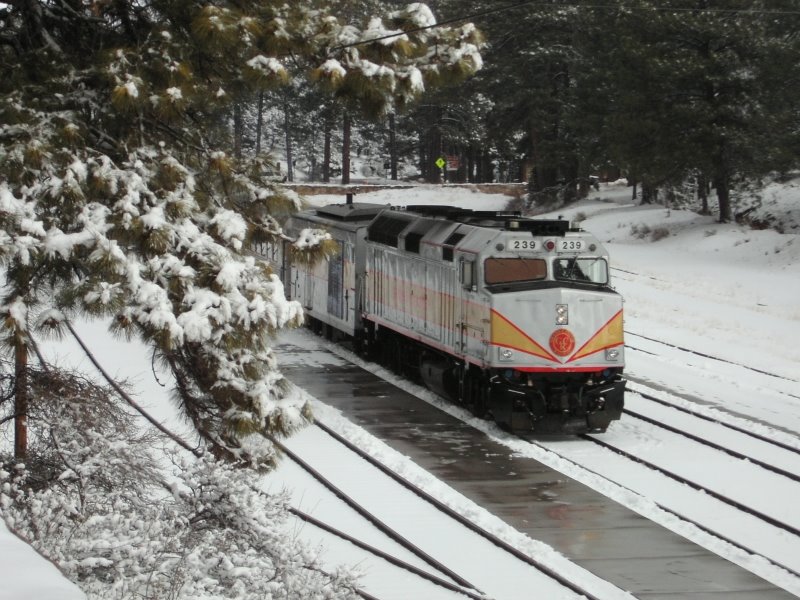 Grand Canyon Railroad by geocheb