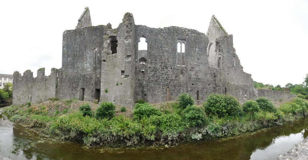 Askeaton castle. by Nicola e Pina Irlanda 2009