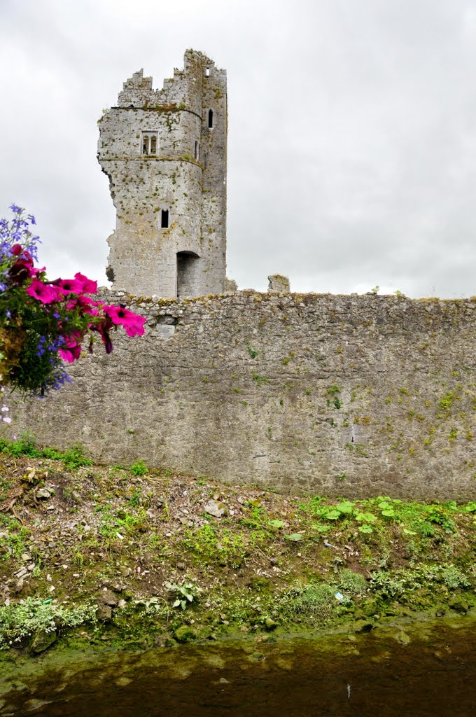 Askeaton castle. by Nicola e Pina Irlanda 2009