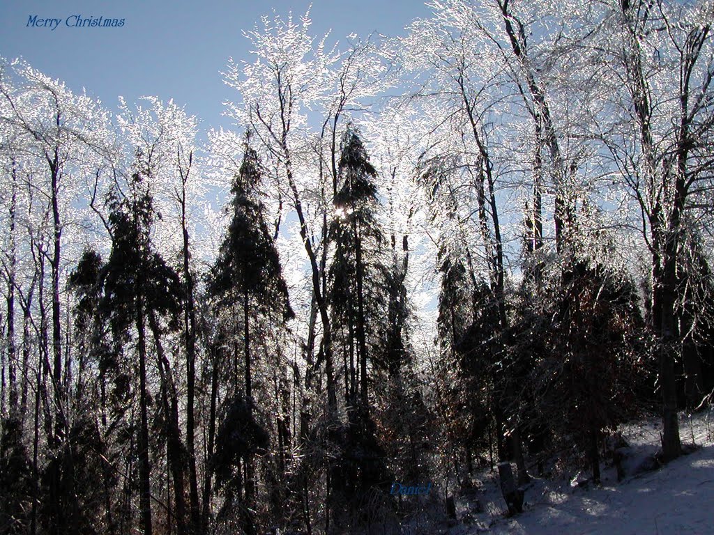 Ice Storm 2008 by zachary2112