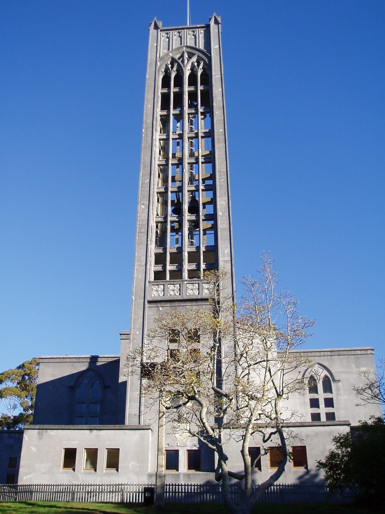 Nelson Cathedral by Freddie Laughton