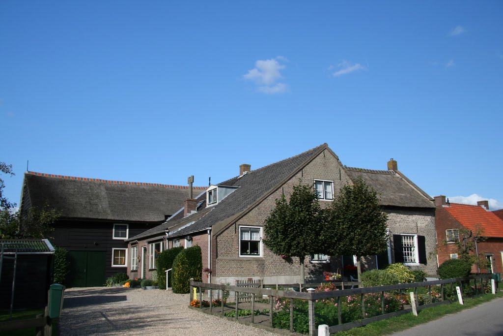 Boerderij op een donk in de Alblasserwaard. by morinel