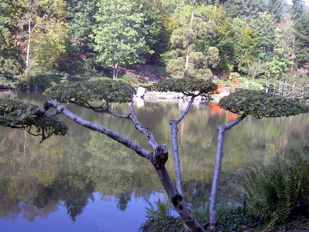 Parc oriental de maulévrier by yanber