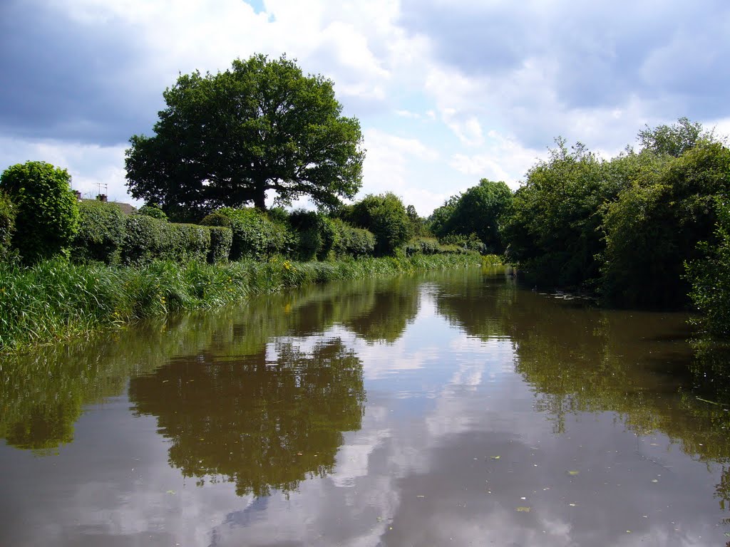 Worcester & Birmingham Canal by Yanat