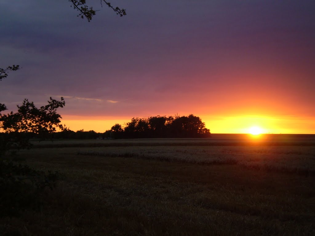 Bojendorfer Sonnenuntergang by André Witte