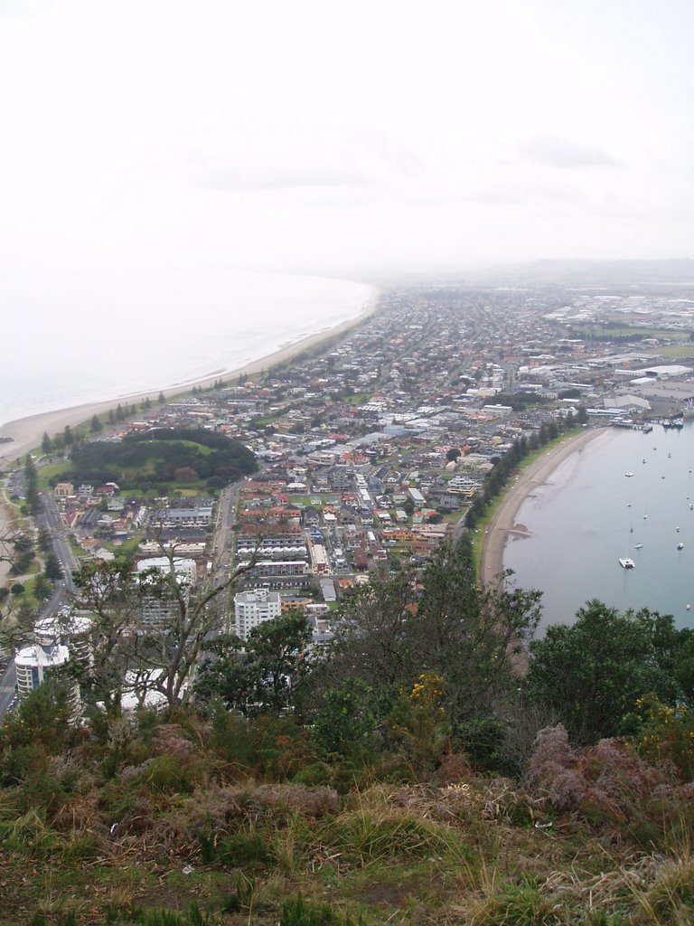 Mt Maunganui by Freddie Laughton