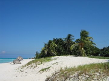 Beach of Varadero City by Mondenkind@