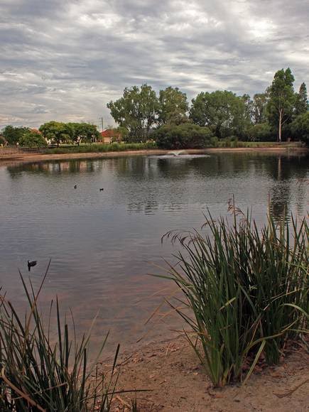 Sandringham Promenade Lake by EOS20