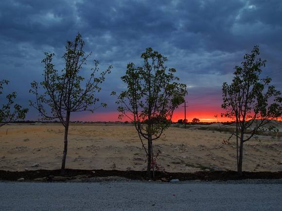 Land Sales Office Carpark Trees At Dusk by EOS20