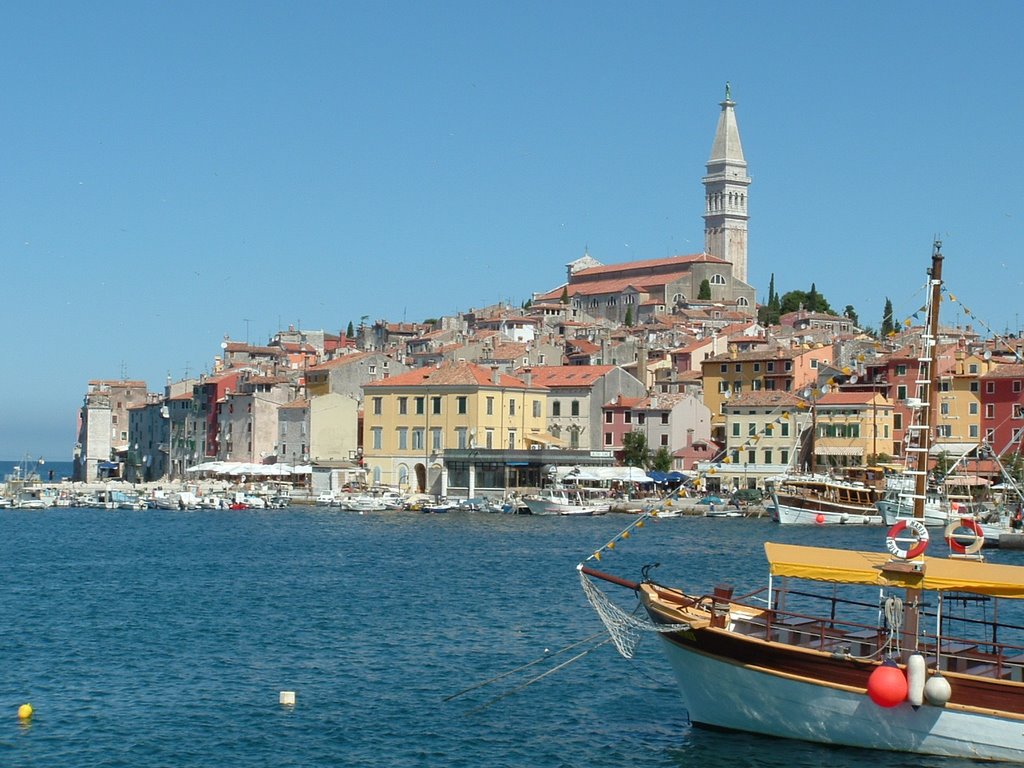 Rovinj Harbor by Dick Putter