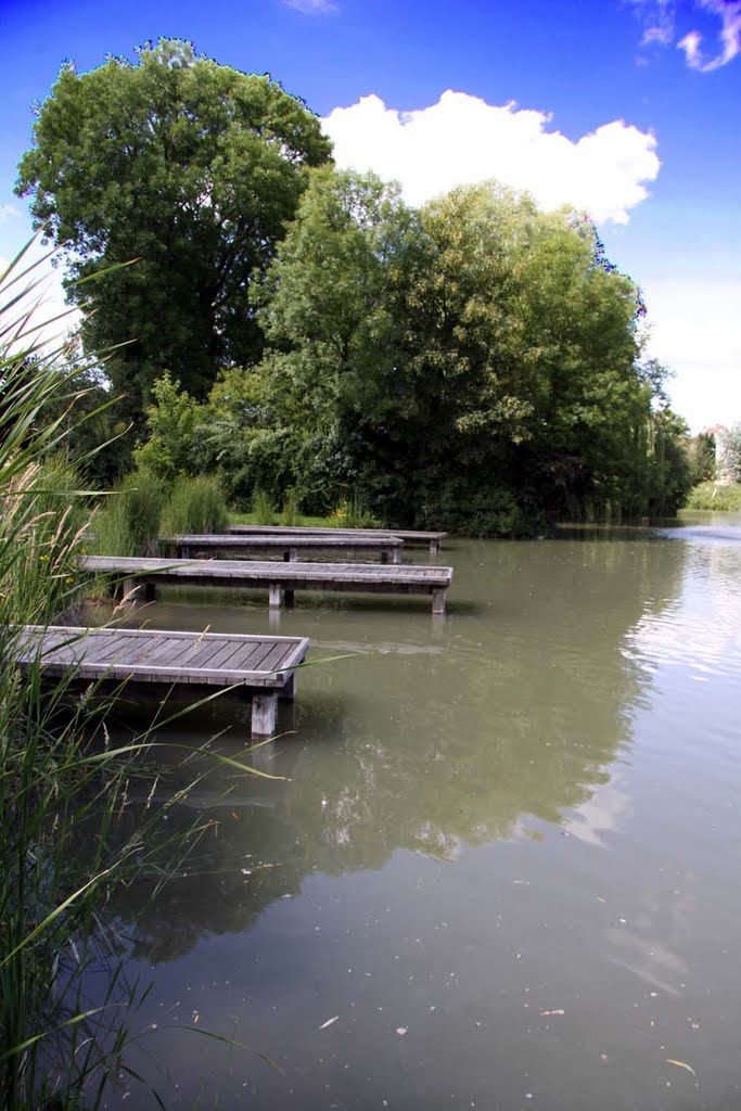 Le Thillay (France, Val d'Oise) : Les berges du lac - (c) Photo Pascal BERNARD by IMAGES PAYS DE FRANCE