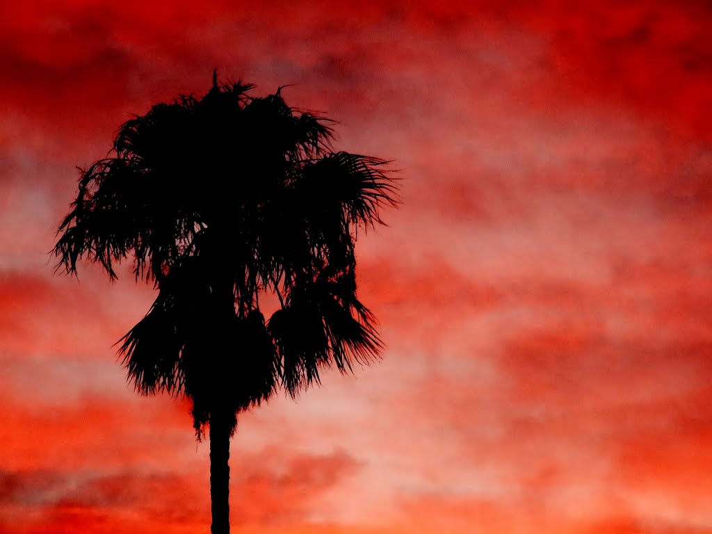 Atardecer de mate desde mi casa... by enzodls