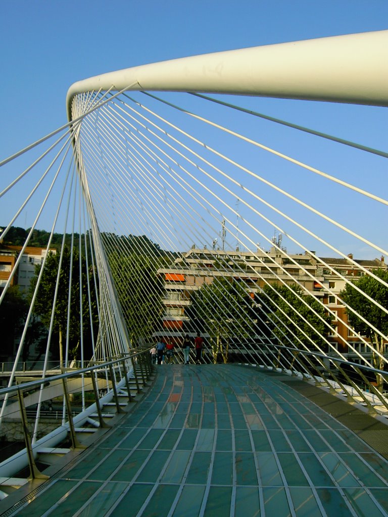 Vista interior pont Calatrava by romanxi